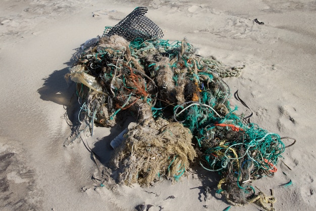 해변의 해안에 많은 쓰레기가 씻겨졌습니다.
