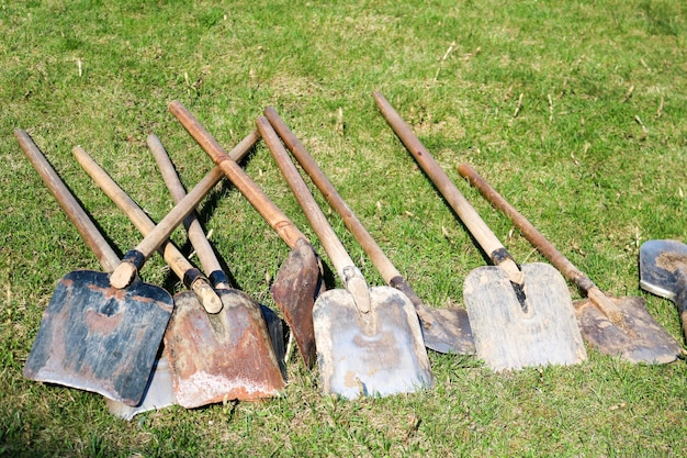 A lot of shovels and bayonet shovels with wooden handles household equipment for cleaning