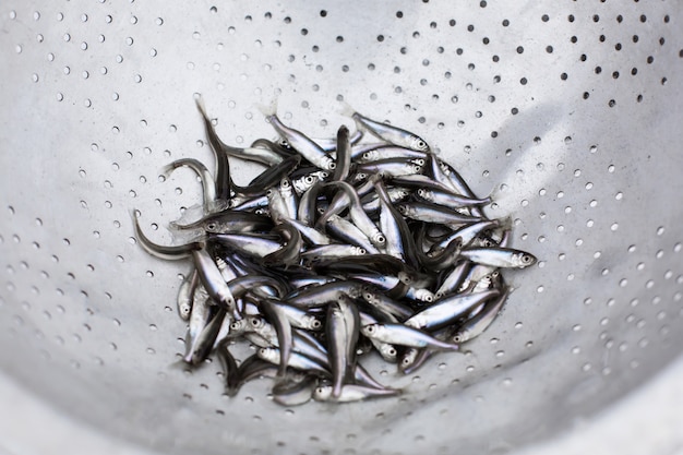 A lot of small fish in a metal sieve