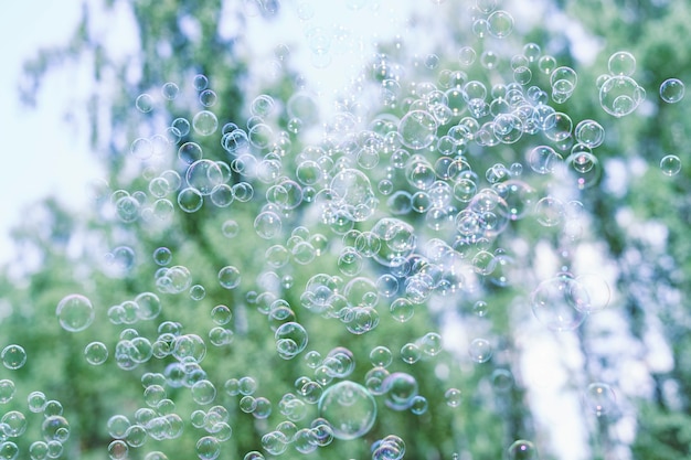 Foto molte bolle di sapone sullo sfondo di alberi e cielo blu. sfondo estivo