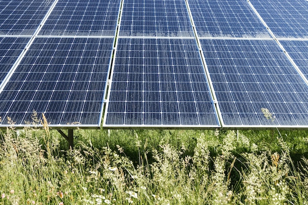 햇빛에서 전기를 생산하는 데 사용되는 태양 에너지 발전소의 많은 태양 전지판 푸른 하늘 배경과 일몰 빛의 푸른 잔디 환경에 좋은 에코 에너지