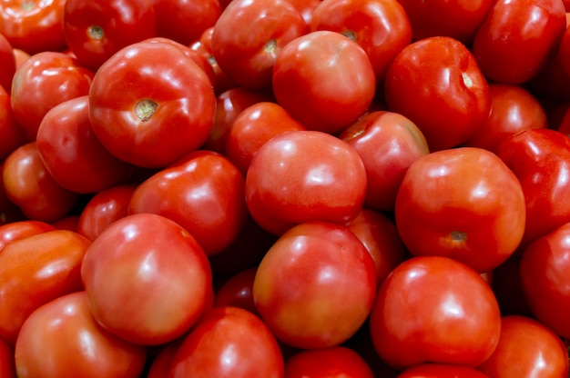 A lot of tomatoes are in a drawer in the store