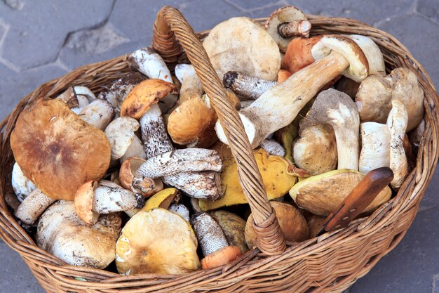 Un sacco di vari funghi in un cesto di vimini e un coltello in acciaio inossidabile che giace dentro. funghi appena raccolti. funghi di bosco