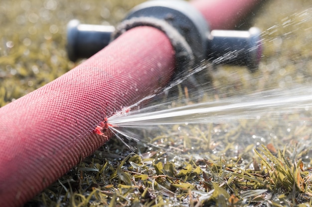 Lot of water leaking from hole of a red hose in garden