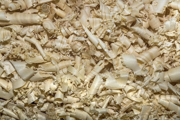 A lot of wooden shavings closeup in full screen Woodworking waste
