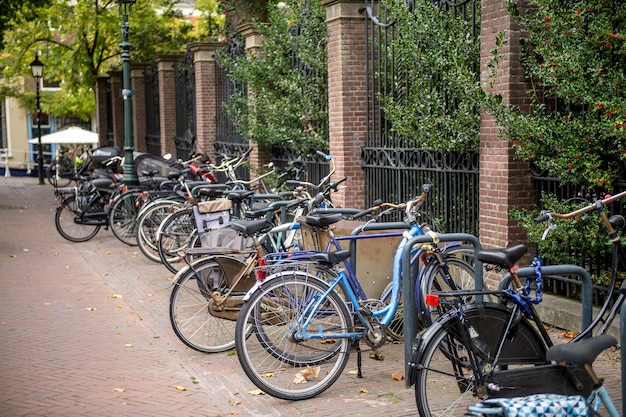 Lots of bikes are parked near the fence Parking with bicycles on the street