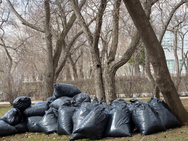 Lots of black trash bags with foliage or trash. cleaning city
streets of garbage, waste collection.