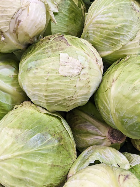 Lots of cabbage heads top view vertical