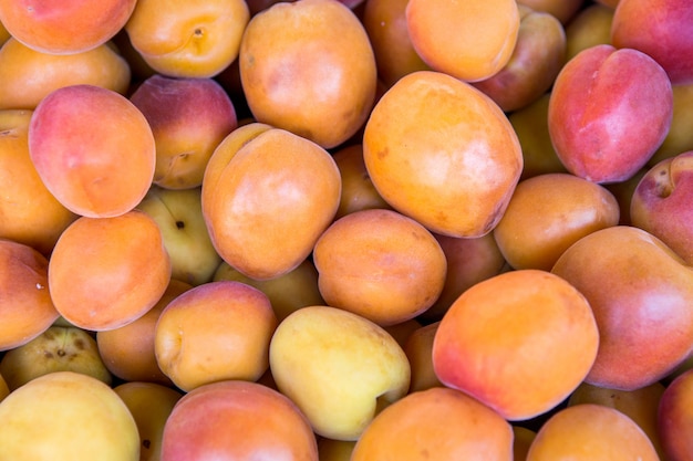 Много свежих плодов абрикосов, сорванных с ветки дерева.