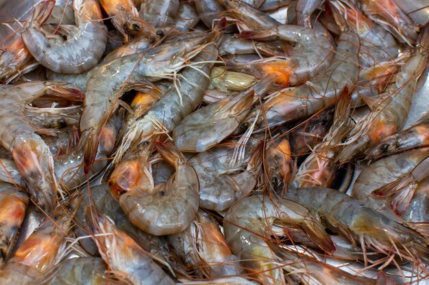 Lots of fresh sea shrimp in the fish shop