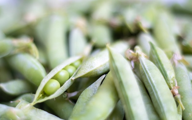 Lots of green peas Unpeeled young green peas closeup Green background Healthy eco food