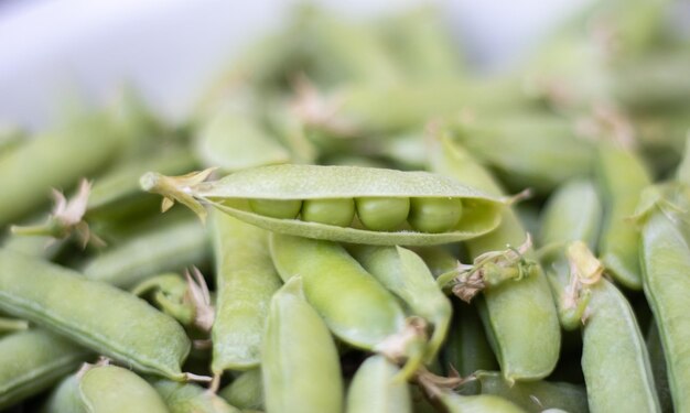 Lots of green peas Unpeeled young green peas closeup Green background Healthy eco food
