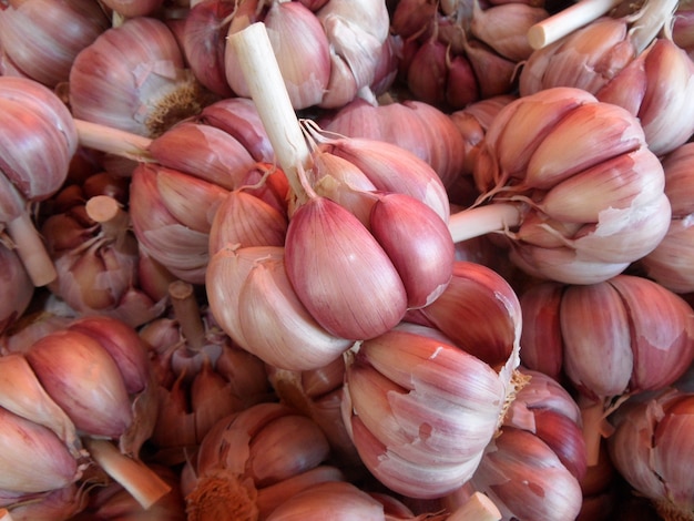 Lots of loose red garlic heads for sale. garlic heads as a background.