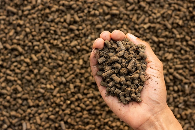 Photo lots of manure or pellets in the hands of a farmer