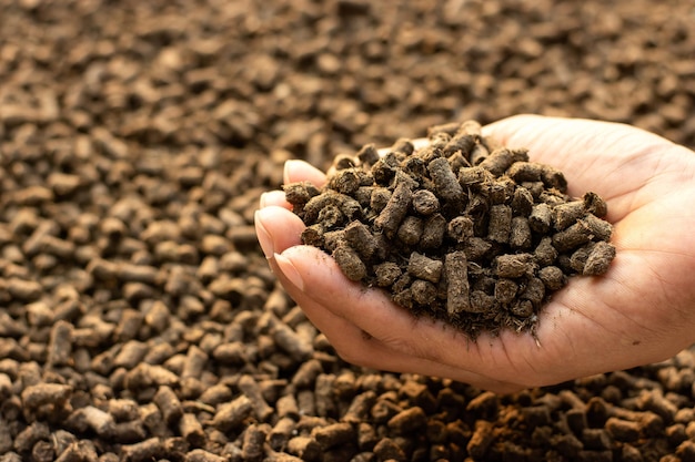 Lots of manure or pellets in the hands of a farmer