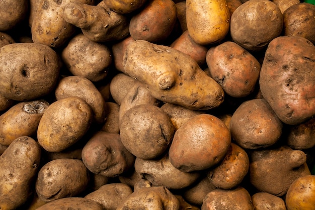 lots of potatoes fresh potato with traces of earth on the skin dirty raw potatoes