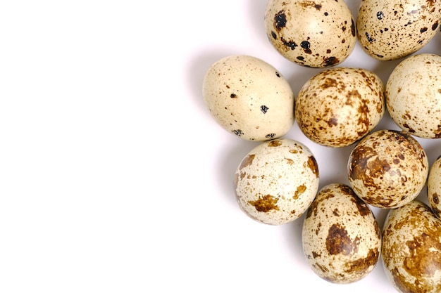 Lots quail eggs white background