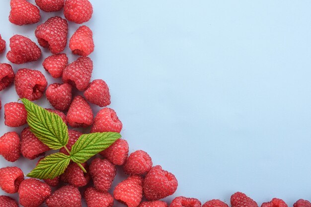 Lots of raspberries on a blue table.