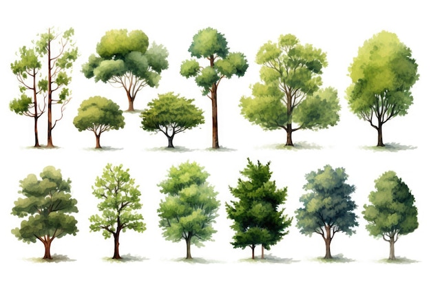 Lots of realistic tree scenes on a white background generative ai