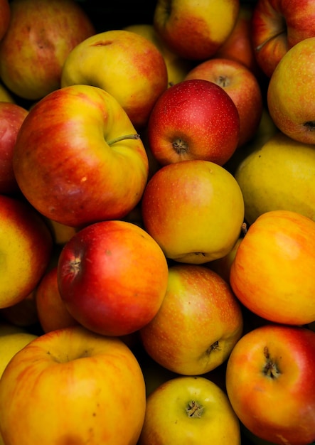 lots of red and green apples A lot of colorful fresh red apples Fresh green and red apples