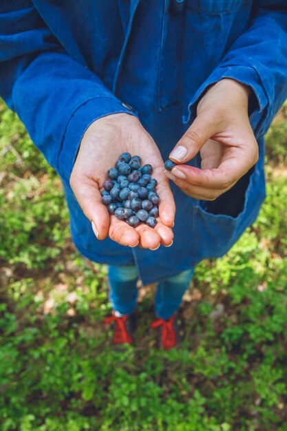 Lots of ripe, fresh blueberries in the hands of a young girl. Close up in a summer forest