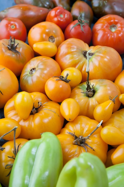 熟した新鮮な黄色と赤のトマトとピーマンがたくさん。収穫のコンセプト