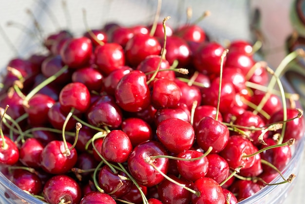 Lots of ripe red cherries in a plate