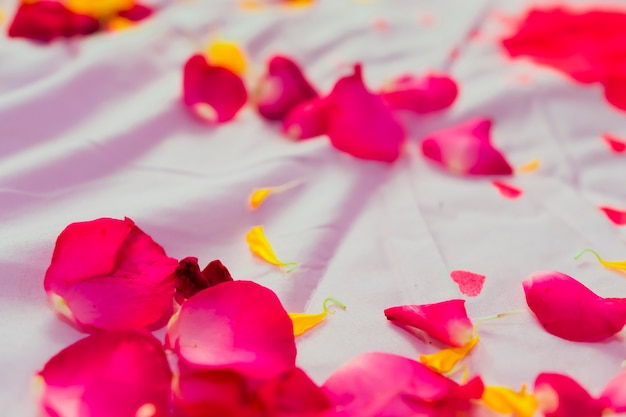 Lots of rose petals lying on the bed