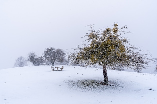 Lots of snow at the picnic area next to the refuge of Mount Aizkorri in Gipuzkoa. Snowy landscape by winter snows