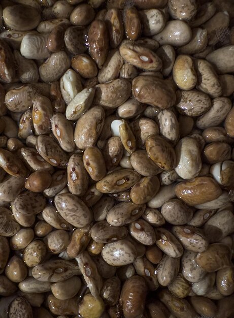 lots of soaked beans before cooking