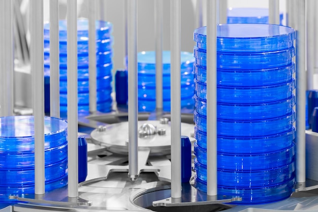 Lots of stacked blue petri dishes filled