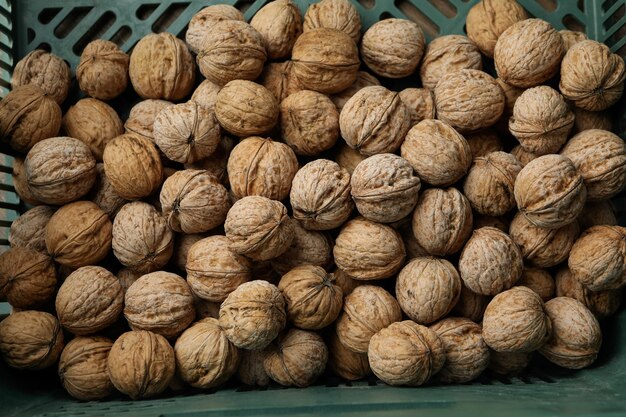 Lots of walnuts in plastic box, close up