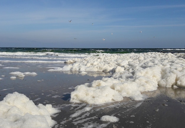 Lots of white sea foam on the coast. Photographed from a low angle. In the back sea, blue skies and flying seagulls