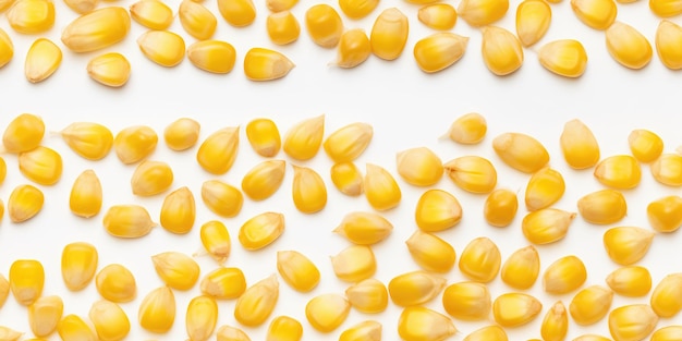 lots of yellow corn grains or maizes as background