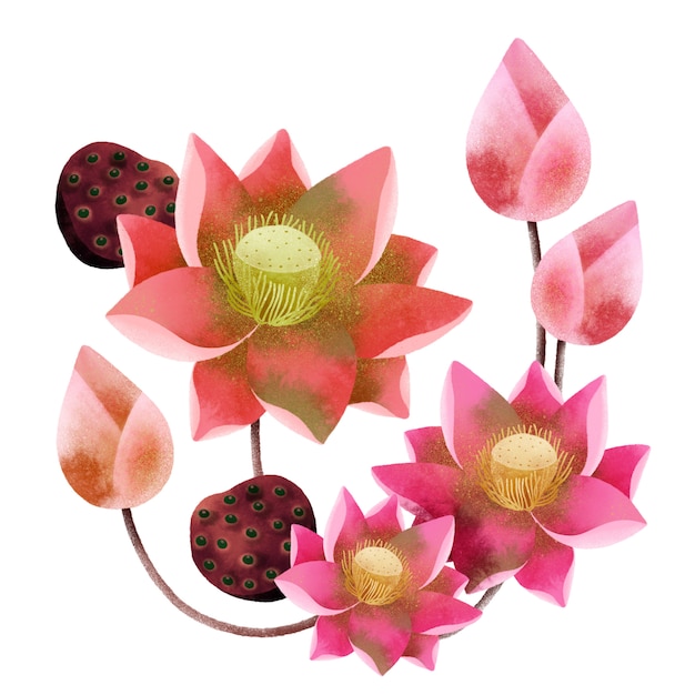 Lotus bloementak