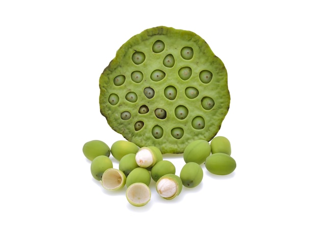 Lotus seeds green Isolated