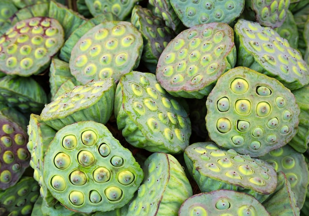 Lotus seeds in podsLotus seeds in healthy food pods.