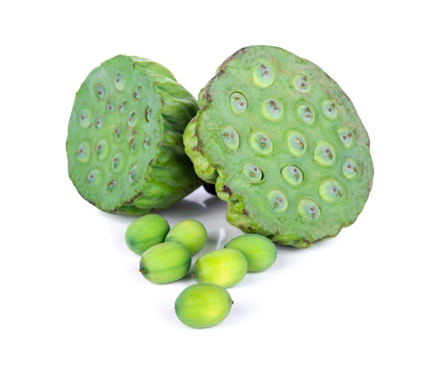 Lotus seeds on white isolate background