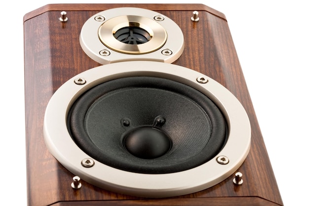 Loudspeakers in wooden box