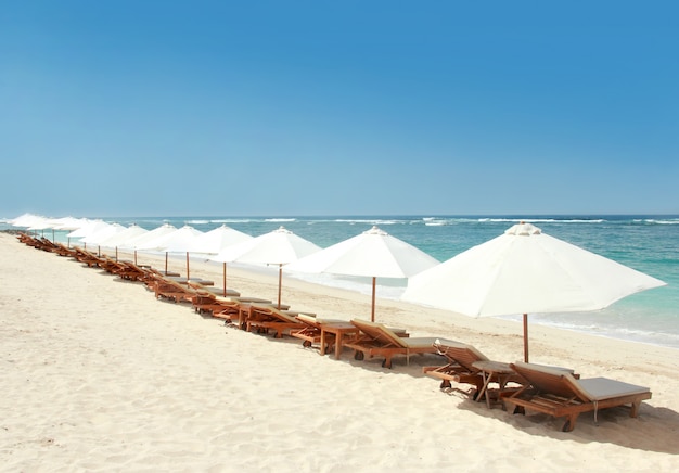 Lounge chairs and umbrellas at the beach