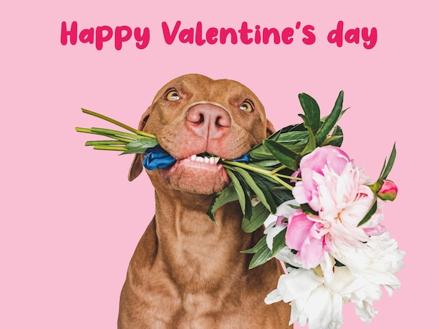 Lovable brown puppy and a bouquet of flowers