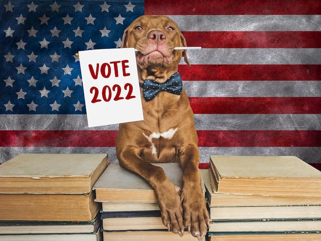 Lovable pretty dog holding an American Flag