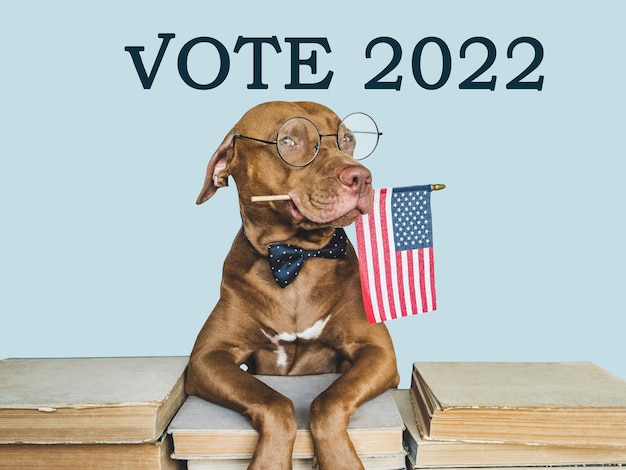 Lovable pretty dog holding an American Flag