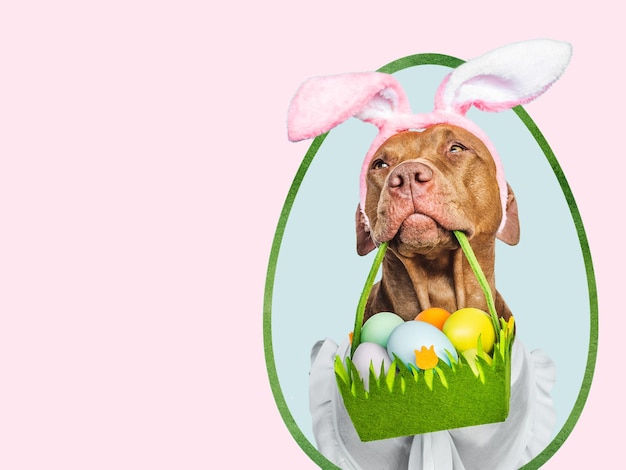 Lovable pretty puppy and a basket of Easter eggs