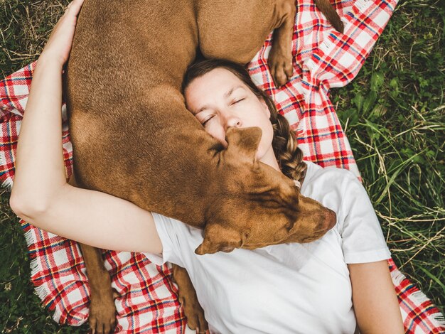 Foto adorabile, grazioso cucciolo di colore marrone. avvicinamento