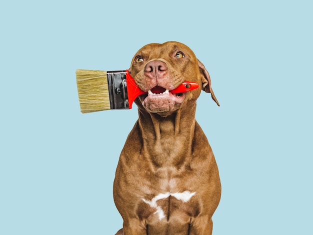 Photo lovable pretty puppy and painting tools closeup