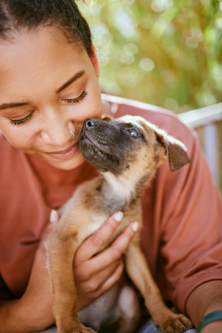 Photo love care and pet dog with black woman in garden for bond affection and happiness together wellness calm and healthy adoption puppy bonding embrace with happy girl owner in backyard
