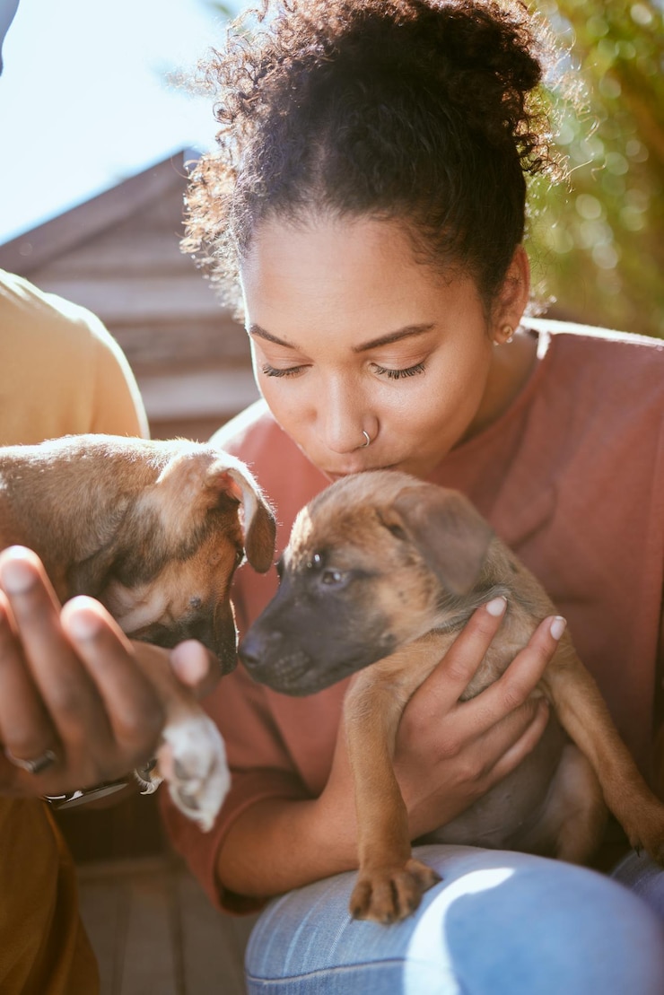 Photo love dog and animal shelter with a black woman kissing a puppy at a rescue pound for adoption or care pet homeless and foster with a female volunteer adopting a canine companion to rehome