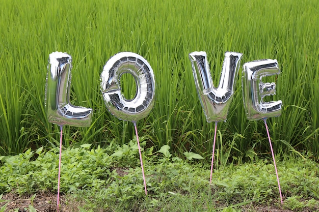 Foto amore nel campo di erba