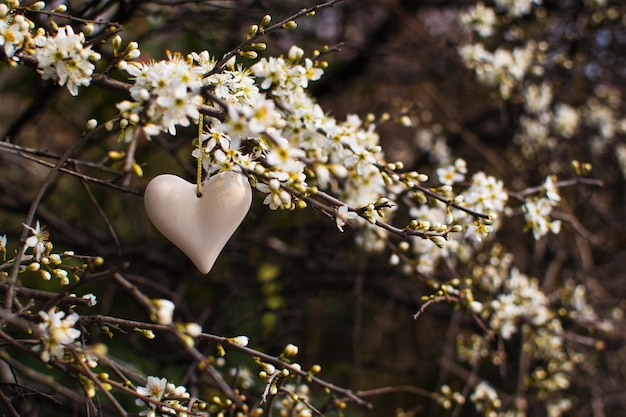 Love is everywhere, Love in nature